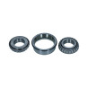 Double tapered roller bearing, differential shaft, Early (4-Bolt Style)