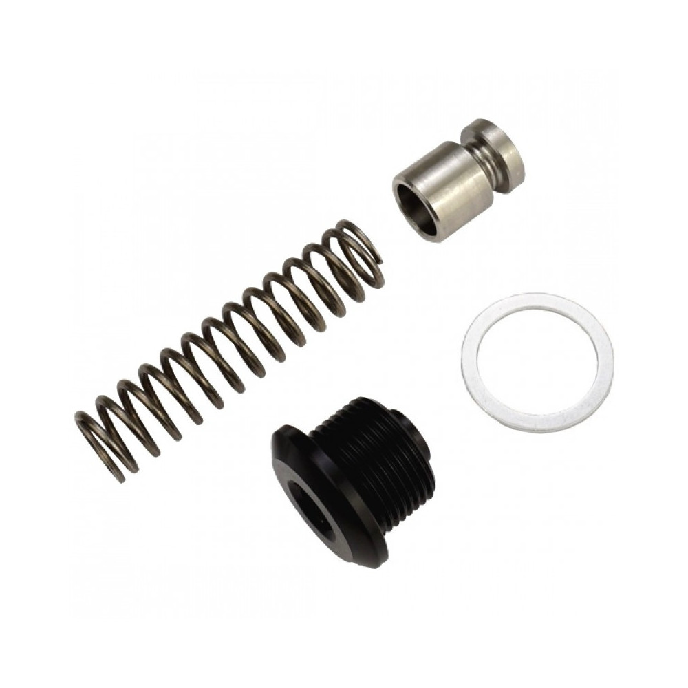 Oil Pressure Relief System Type 4 2000cc and WBX with Plug Screw