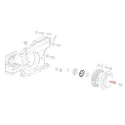 Type 4 engine propeller hub door screw