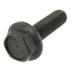 Type 4 engine propeller hub door screw