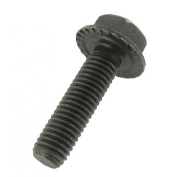 Type 4 engine propeller hub door screw