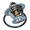 Thermostat diesel 87°C 102°C