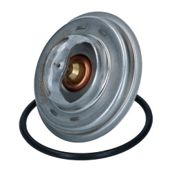 Thermostat WBX 87°C 102°C
