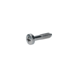 copy of Screw headlightrim stainless steel