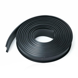 Seals between body window...