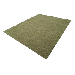 Westfalia cargo floor green