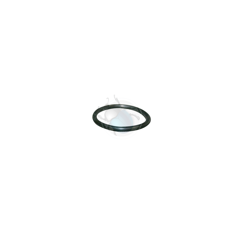 Diesel thermostat gasket bus vw T3 Vanagon