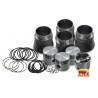 Kit piston et cylindre 30 chevaux de marque Mahle